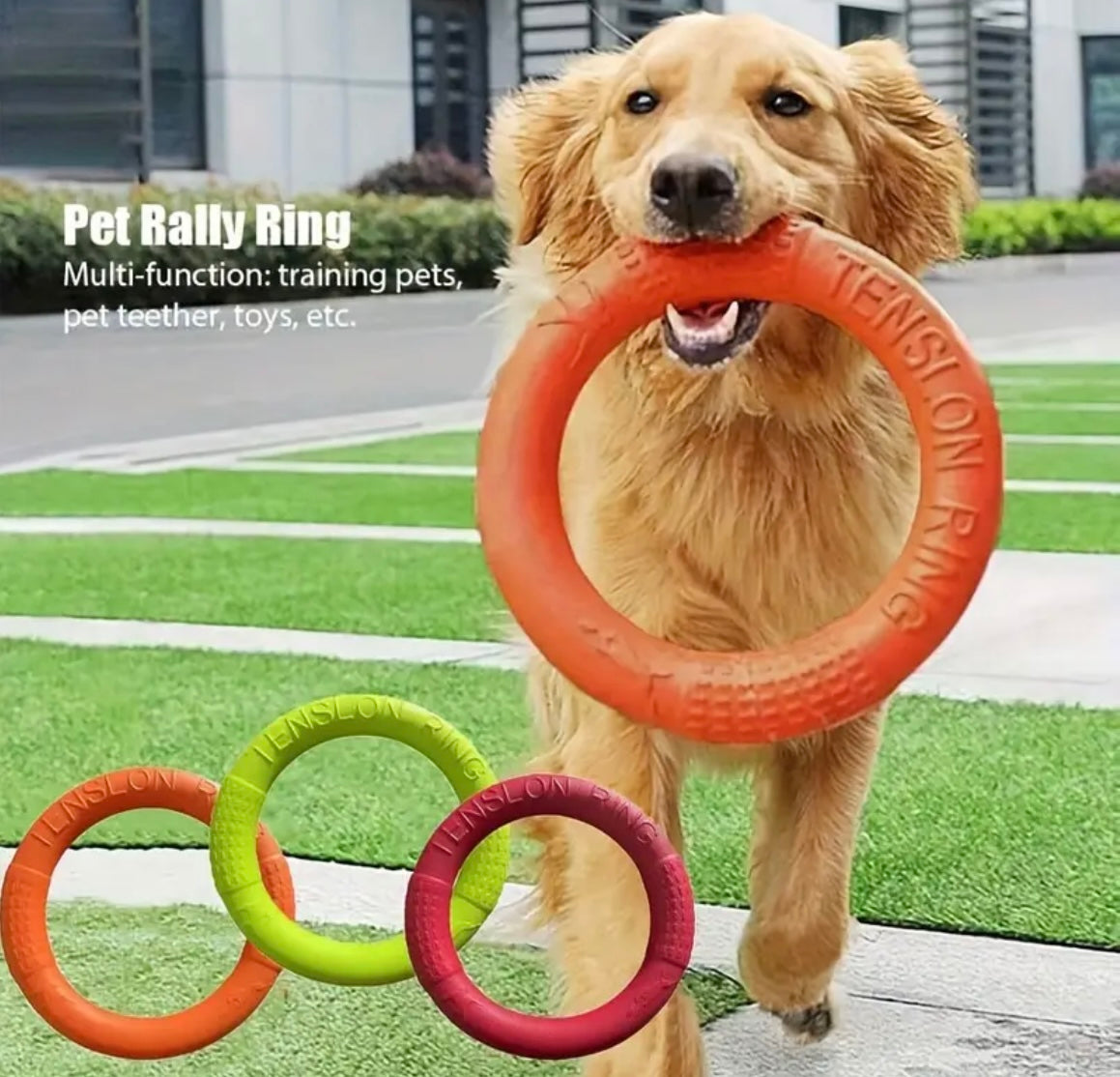 Frisbee Câini