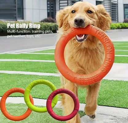 Frisbee Câini