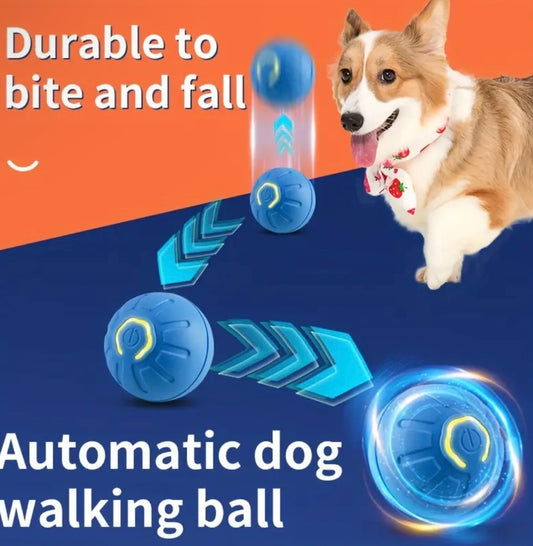 Minge Interactivă