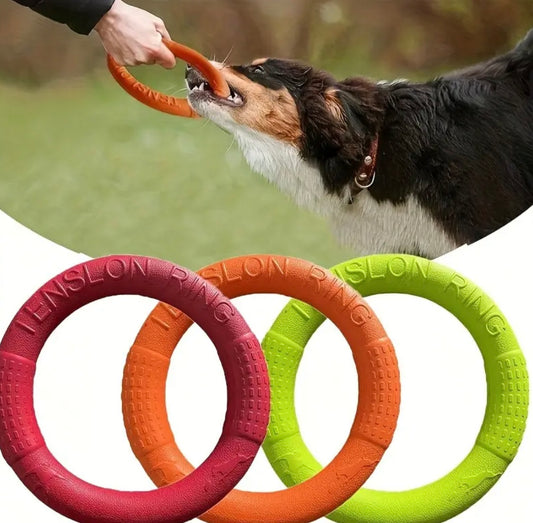 Frisbee Câini
